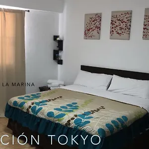 Cabo Tortuga Boutique Cabo San Lucas
